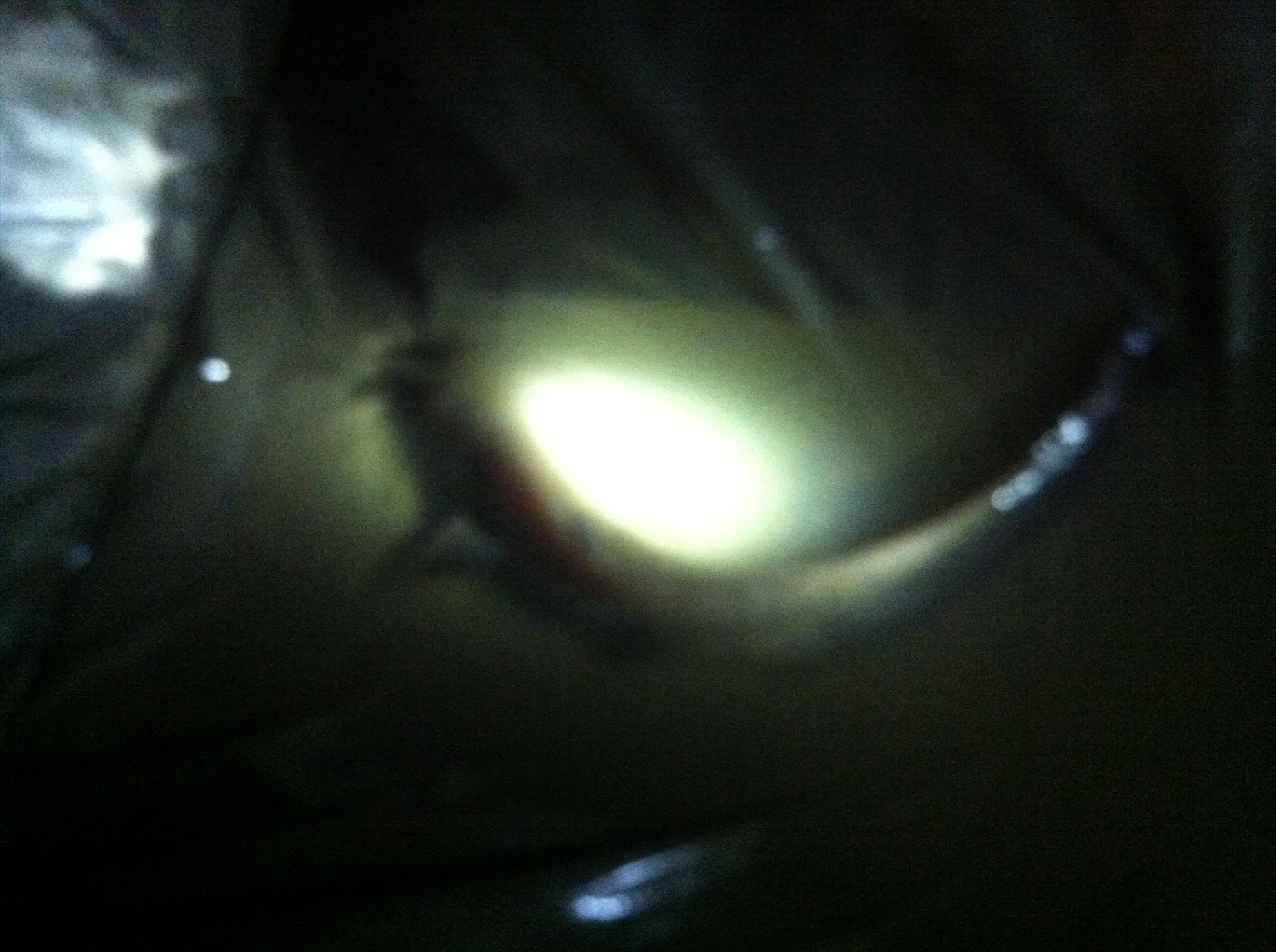 Tancabesti si Moara Vlasiei2 - picture-074.jpg